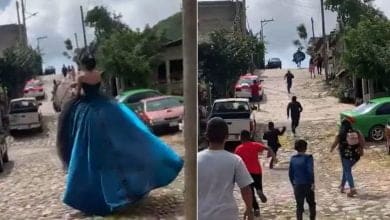 un caballo "secuestro" a quincea&ntilde;era y no pudo entrar a su fiesta