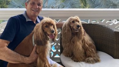 as&iacute; fue la reacci&oacute;n de los perritos de Dar&iacute;o G&oacute;mez al ver una foto del artista