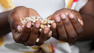 desnutrici&oacute;n en colombia