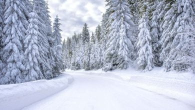 por qu&eacute; la nieve es blanca / d&iacute;a m&aacute;s fr&iacute;o