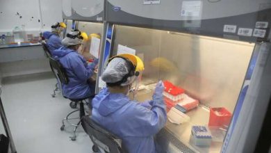 primer linaje suramericano de la viruela del mono