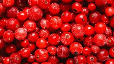 beneficios del ar&aacute;ndano rojo