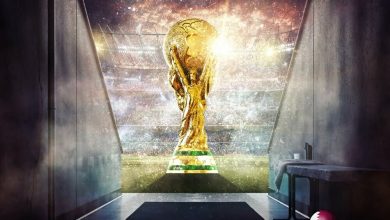 Trofeo de Qatar de la Copa Mundial de la FIFA sobre la hierba verde del campo de f&uacute;tbol / copa de la fifa