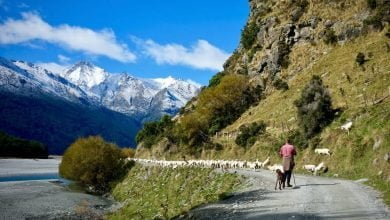 Le gustar&iacute;a ganar $240 millones al a&ntilde;o solo por vivir en una isla