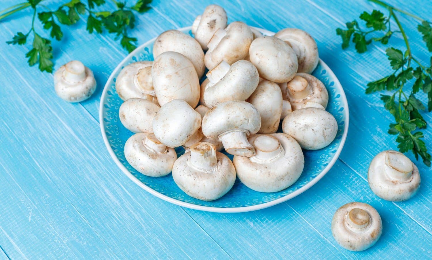 Champi&ntilde;ones frescos sobre plato azul