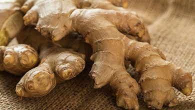 ra&iacute;ces de jengibre (que sirve contra el lupus), sobre tela / covid