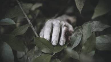 mano pegada de hierba / el pe&ntilde;ol