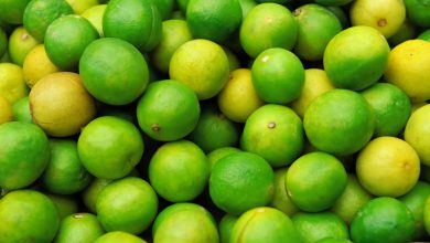 jugosos limones frescos en pila / lim&oacute;n