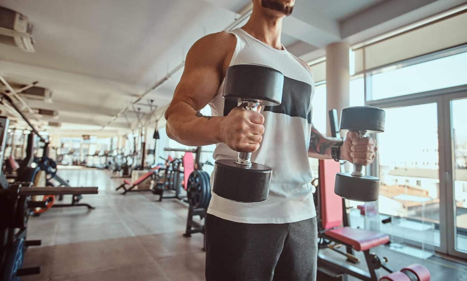 masa muscular amino&aacute;cido