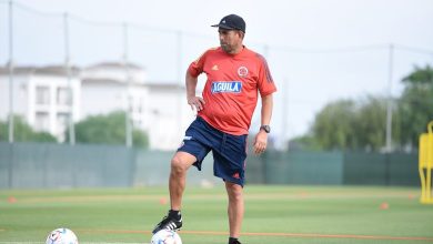entrenador en cancha de f&uacute;tbol / microciclo