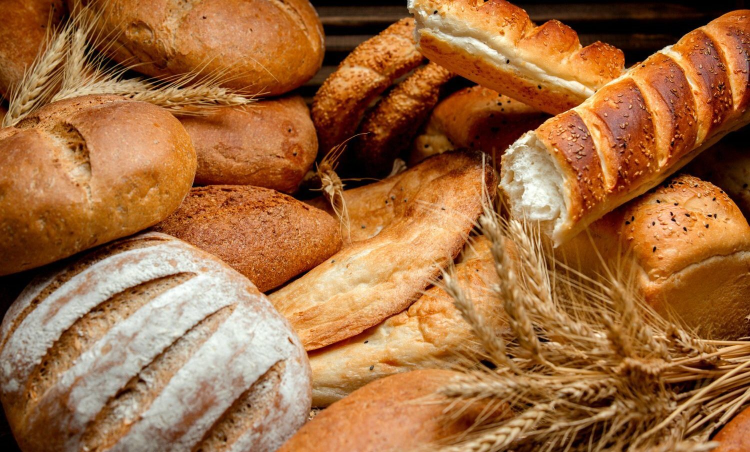 Diferentes tipos de pan a base de harina de trigo / pan para adelgazar - pan todos los días