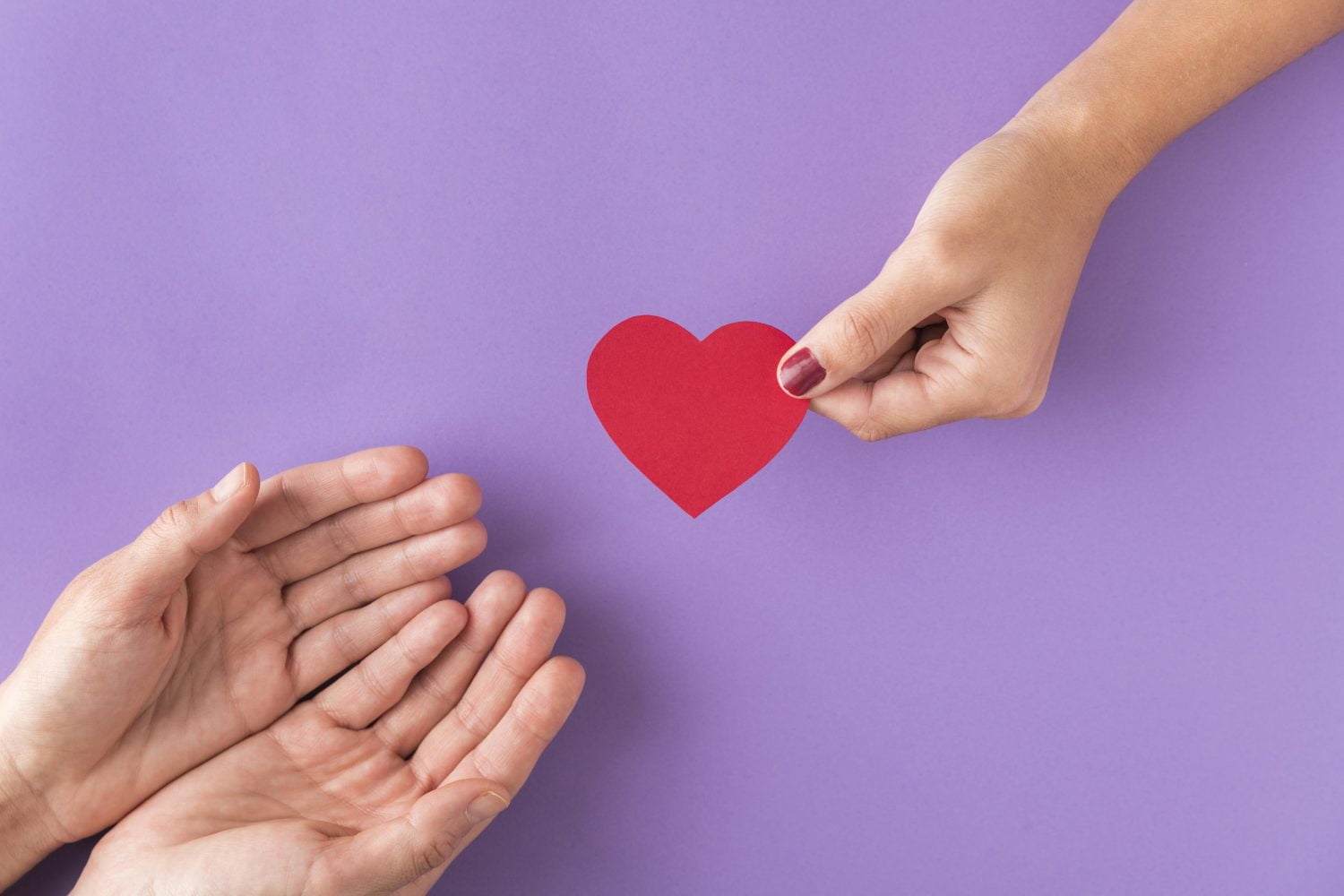 donaci&oacute;n de &oacute;rganos