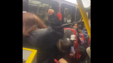 mujeres pelean en un TransMilenio