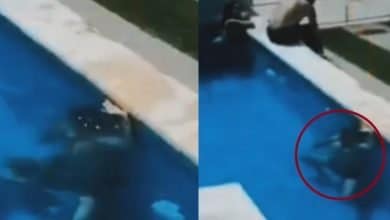 Amante se sumergi&oacute; en piscina m&aacute;s de dos minutos para no ser descubierto, casi se ahoga&nbsp;