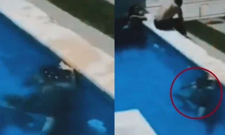 Amante se sumergi&oacute; en piscina m&aacute;s de dos minutos para no ser descubierto, casi se ahoga&nbsp;
