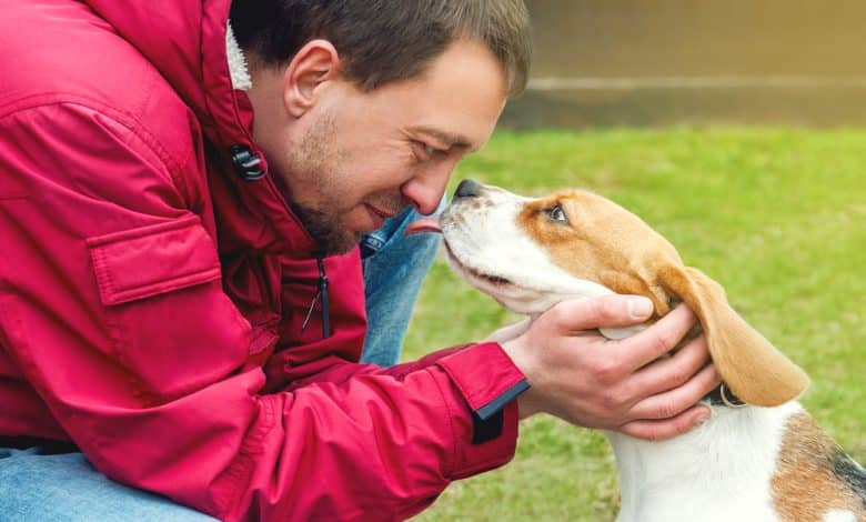 Estos son los riesgos de que tu perro te lama la cara / perros / perro o gato se siente amado&nbsp;por&nbsp;usted