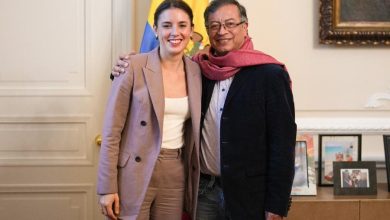 pol&iacute;ticas p&uacute;blicas feministas