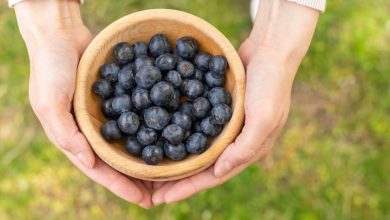 Vista superior mujer sosteniendo taz&oacute;n con ar&aacute;ndanos