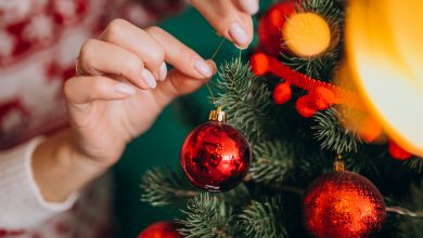 decorando el árbol de navidad con bolas rojas / navideña