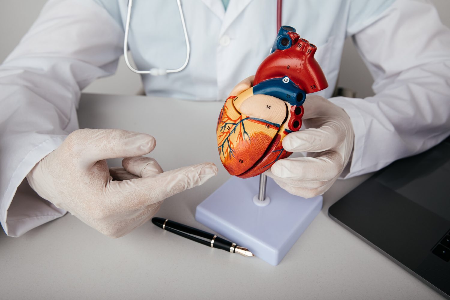 enfermedades del corazón | salud cardiovascular / curiosidades sobre el cuerpo / mandarina