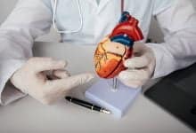 enfermedades del coraz&oacute;n | salud cardiovascular / curiosidades sobre el cuerpo / mandarina