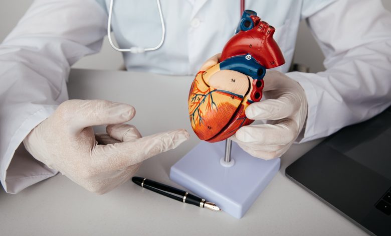 enfermedades del corazón | salud cardiovascular