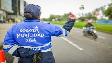 concierto de bad bunny / Rock al Parque