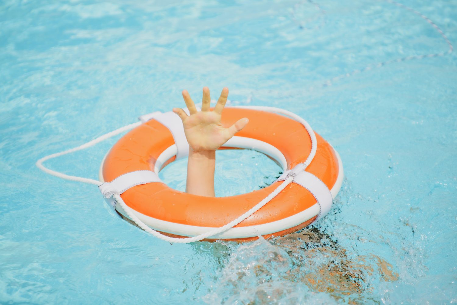 paseo escolar | Adulta mayor