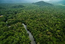 Vista a&eacute;rea de r&iacute;o en selva tropical / ex gobernador de Amazonas