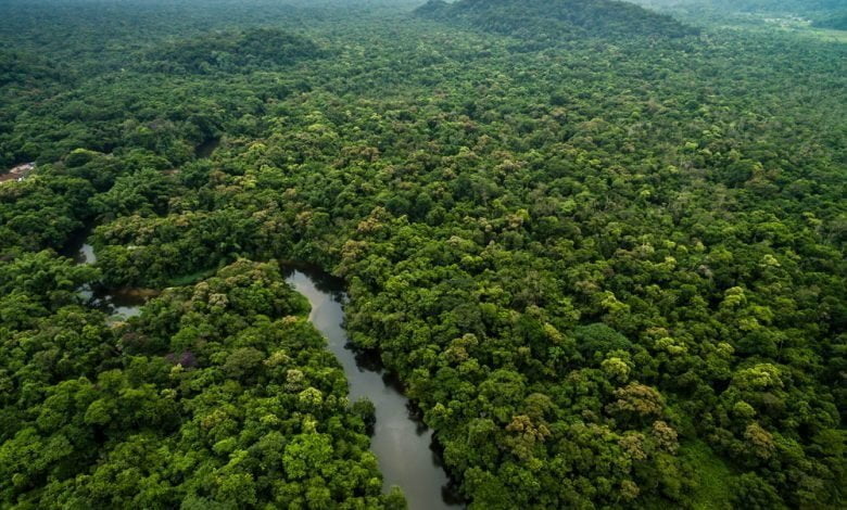 Vista aérea de río en selva tropical / ex gobernador de Amazonas