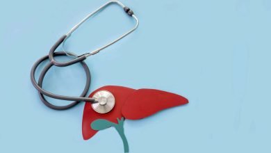 maqueta del h&iacute;gado con un estetoscopio, en busca de enfermedad hep&aacute;tica