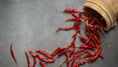 varios chiles secos saliendo de un saco peque&ntilde;o