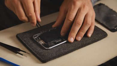 bater&iacute;a de tu celular