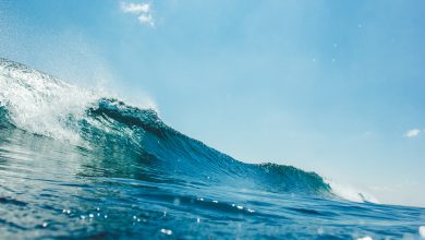 De d&oacute;nde viene el agua