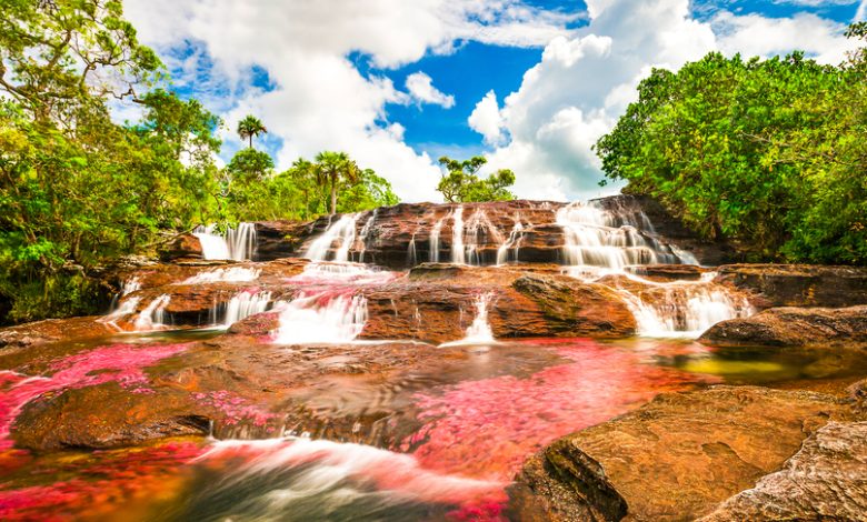 Río de cascada multicolor en Colombia Caño Cristales / destinos