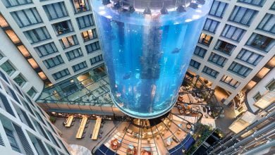 Incre&iacute;ble explosi&oacute;n de un acuario de 14 metros de alto en hotel de Berl&iacute;n