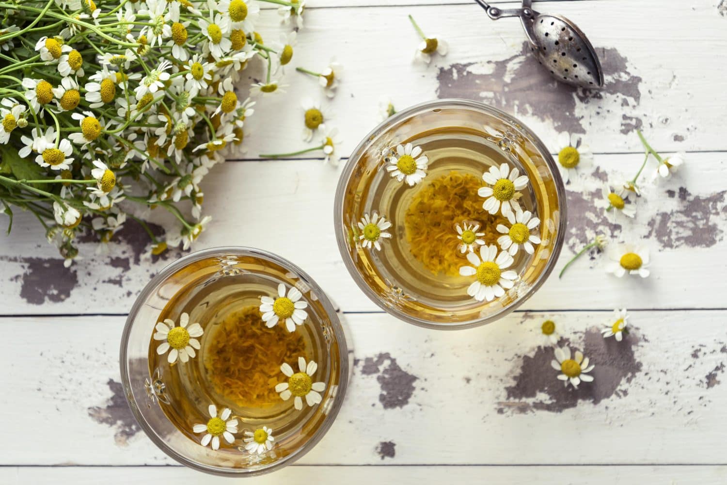 manzanilla / estr&eacute;s y la ansiedad