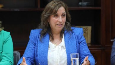 dina boluarte, nueva presidenta de Per&uacute;
