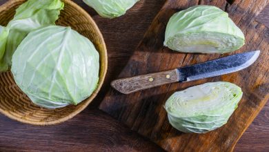 repollos pertenecientes a la familia de verduras cruc&iacute;feras.