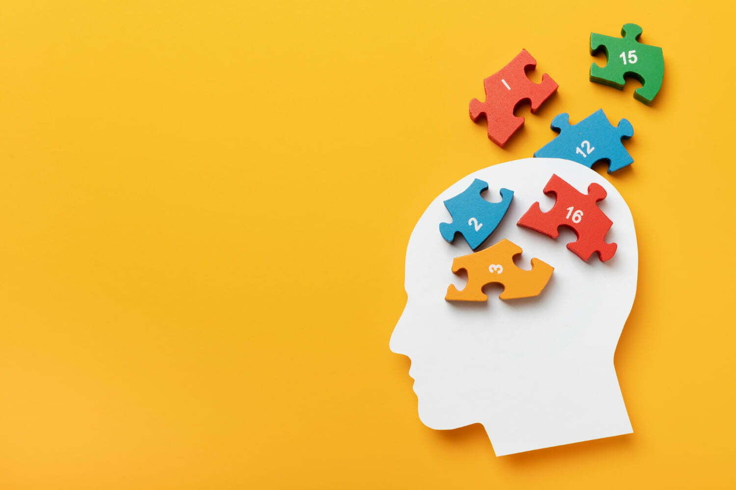 memoria con piezas de rompecabezas y cabeza / tipos de memoria