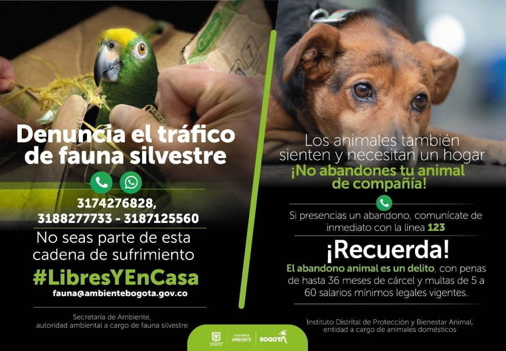 tr&aacute;fico de animales silvestres
