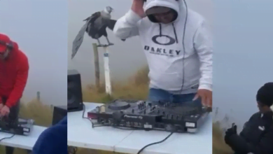 fiesta con DJ en el nevado del Ruiz