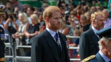 El pr&iacute;ncipe Harry confes&oacute; que le quit&oacute; la vida a 25 personas en Afganist&aacute;n