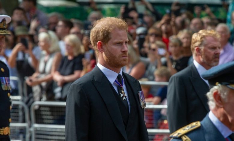 El pr&iacute;ncipe Harry confes&oacute; que le quit&oacute; la vida a 25 personas en Afganist&aacute;n