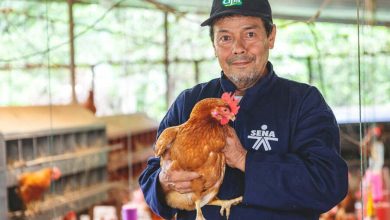 Campesinos de Colombia, nuevos protagonistas de las plataformas digitales del SENA