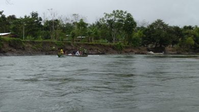 desplazamiento forzado y confinamiento