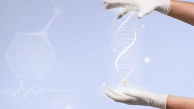 ilustraci&oacute;n que explica la epigen&eacute;tica