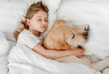 Hermosa niña que se queda en la cama con perro / mascotas