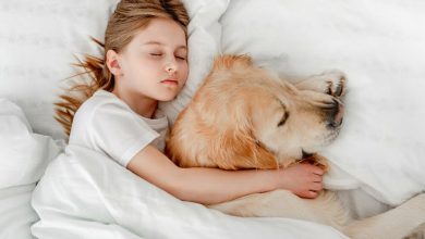 Hermosa ni&ntilde;a que se queda en la cama con perro / mascotas - &iquest;Es buena idea dormir con tu mascota? Esto dicen los expertos
