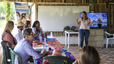 programa de seguridad alimentaria
